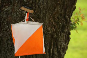 control point sign in orienteering